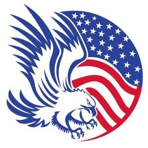 American Flag Round Eagle vector image