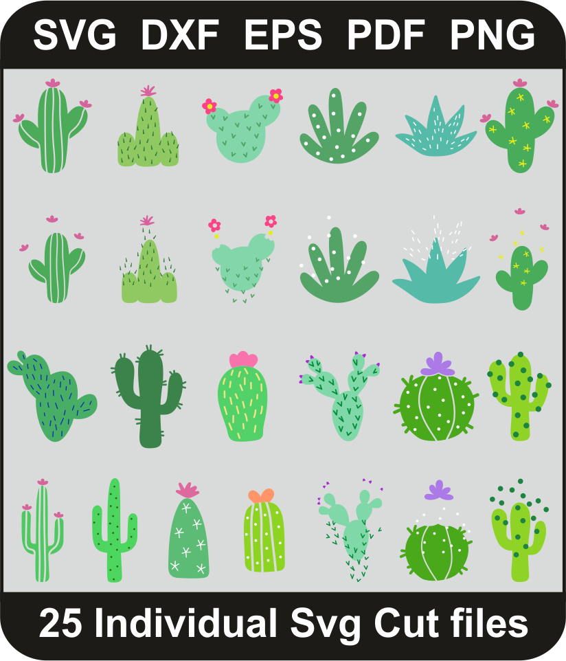 Cactus-Format1727645521.png