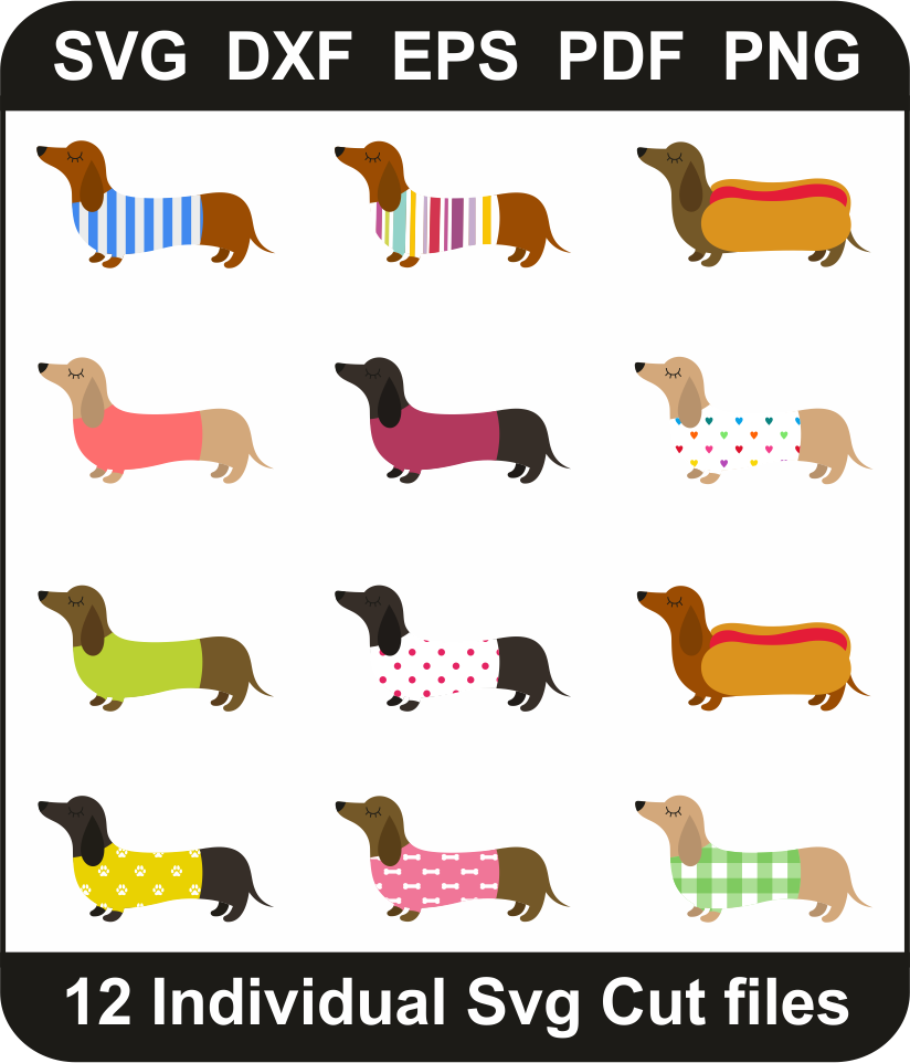 Dachshunds-Sausage-Dog-Format1727817385.png