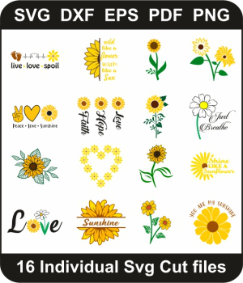 Daisy Flower Svg Bundle