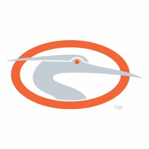 Delmarva Shorebirds Logo Svg