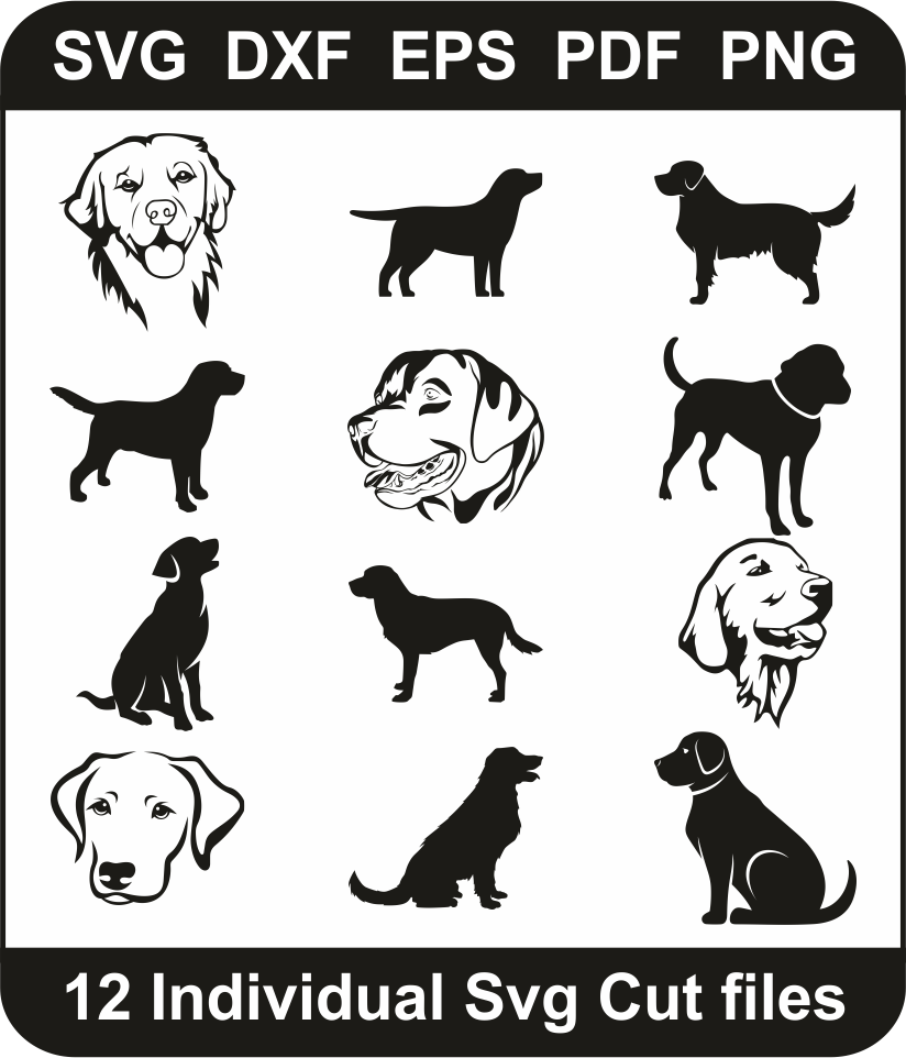 Labrador_Retriever_Dog_Bundle.png