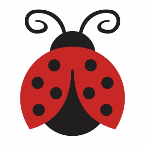 Buy Ladybug Eps Png online in USA