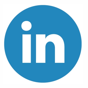 Linkedin Icon Logo vector