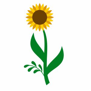 Yellow Sunflower Vector