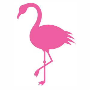 Flamingo bird vector file